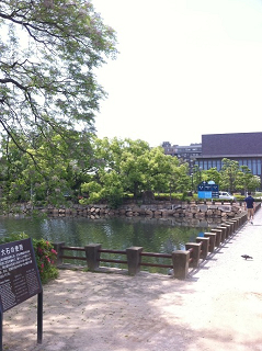 e0094325_1631218.jpg