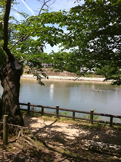 e0094325_16321596.jpg