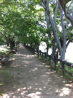 e0094325_16322325.jpg