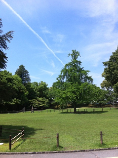 e0094325_1632826.jpg