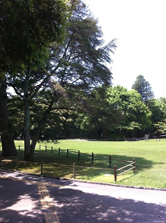 e0094325_1638762.jpg