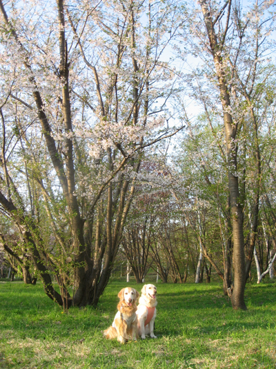 f0227228_11422045.jpg