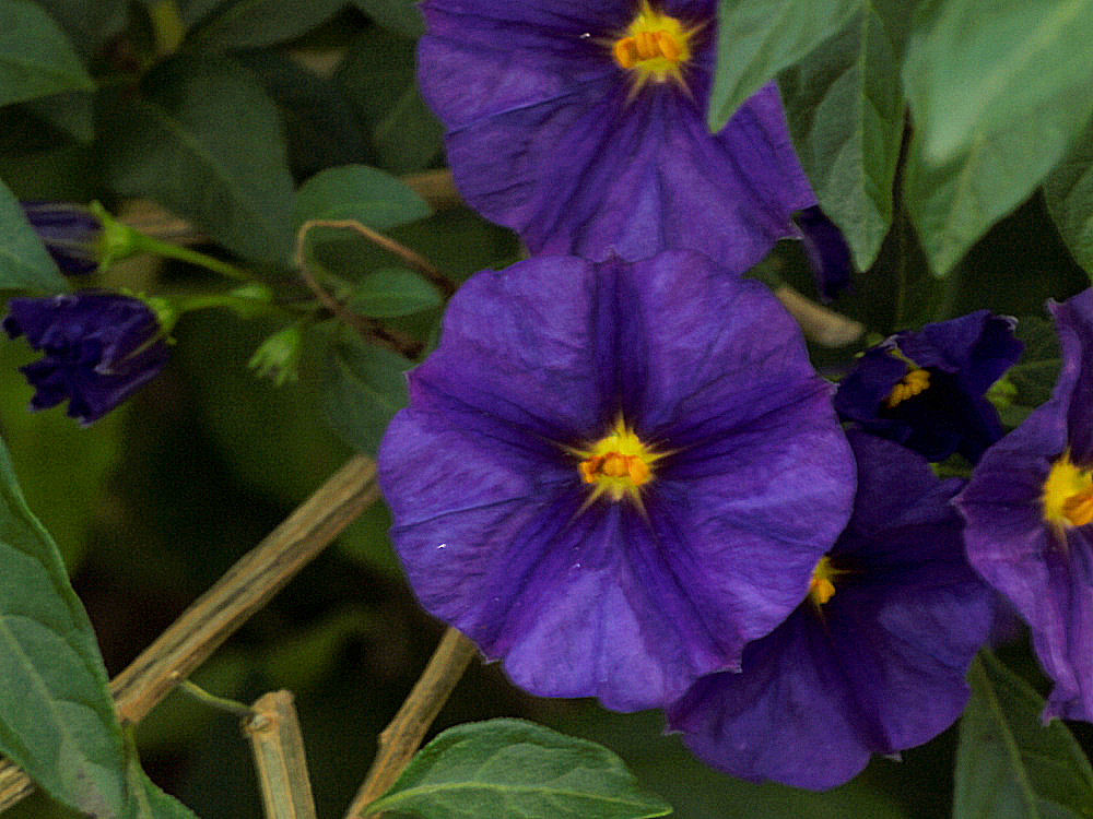 d0213034_2158486.jpg