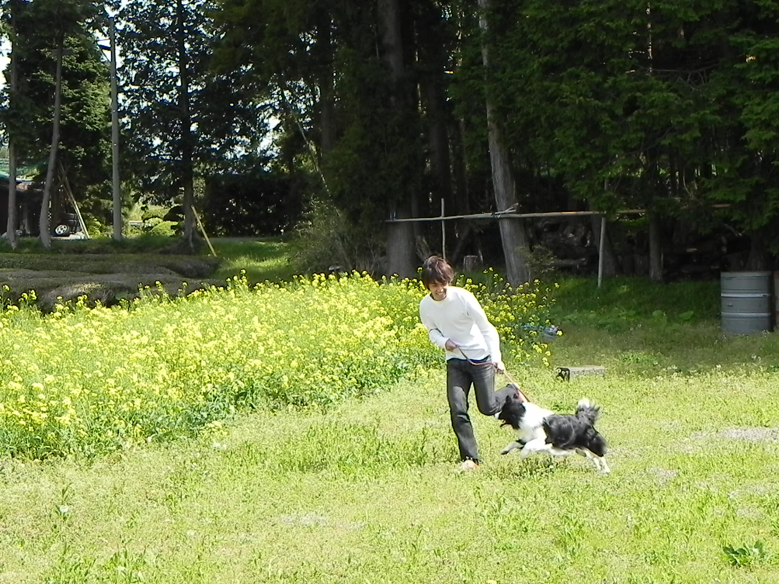 a0185236_1151524.jpg