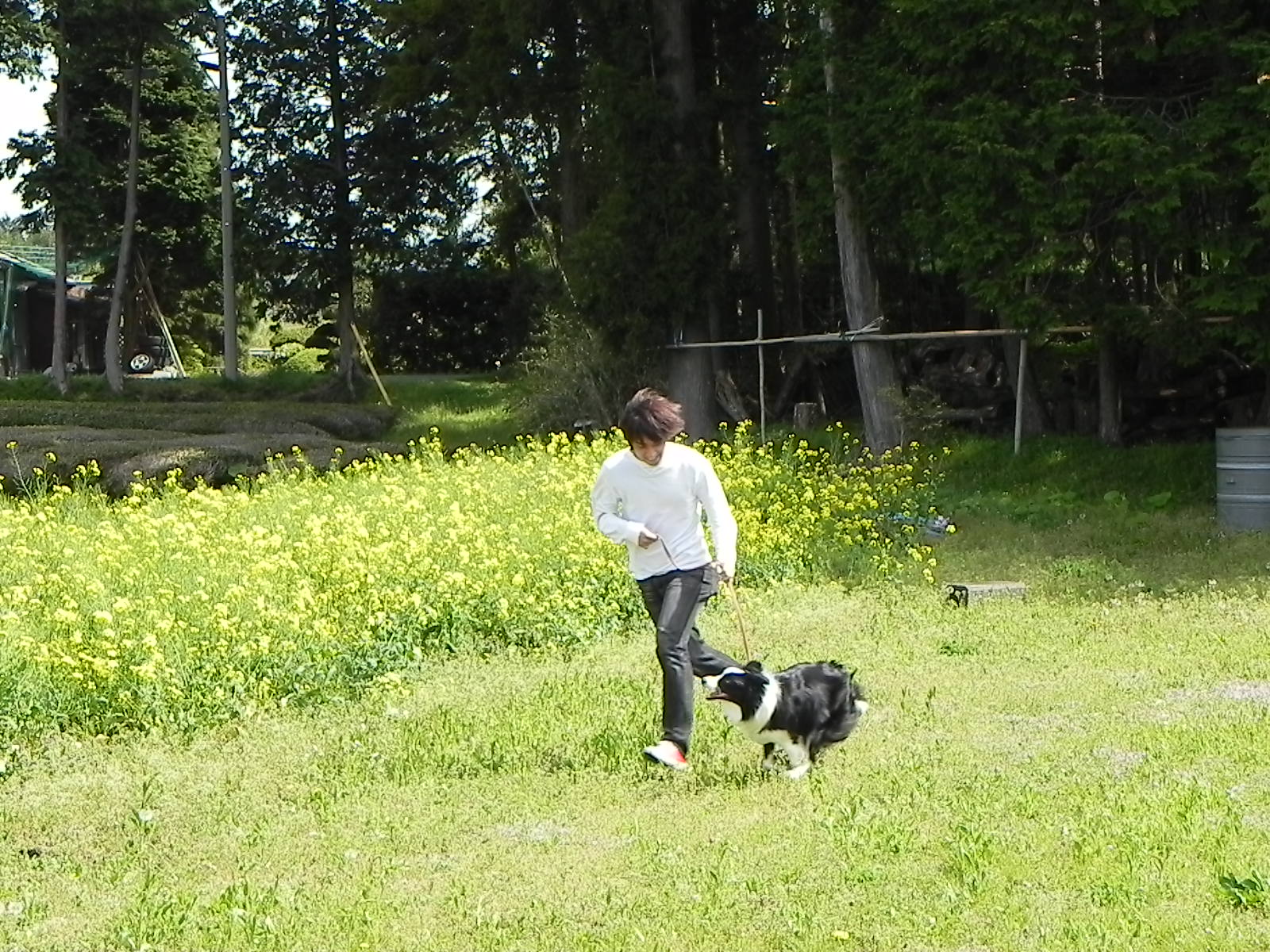a0185236_1152545.jpg