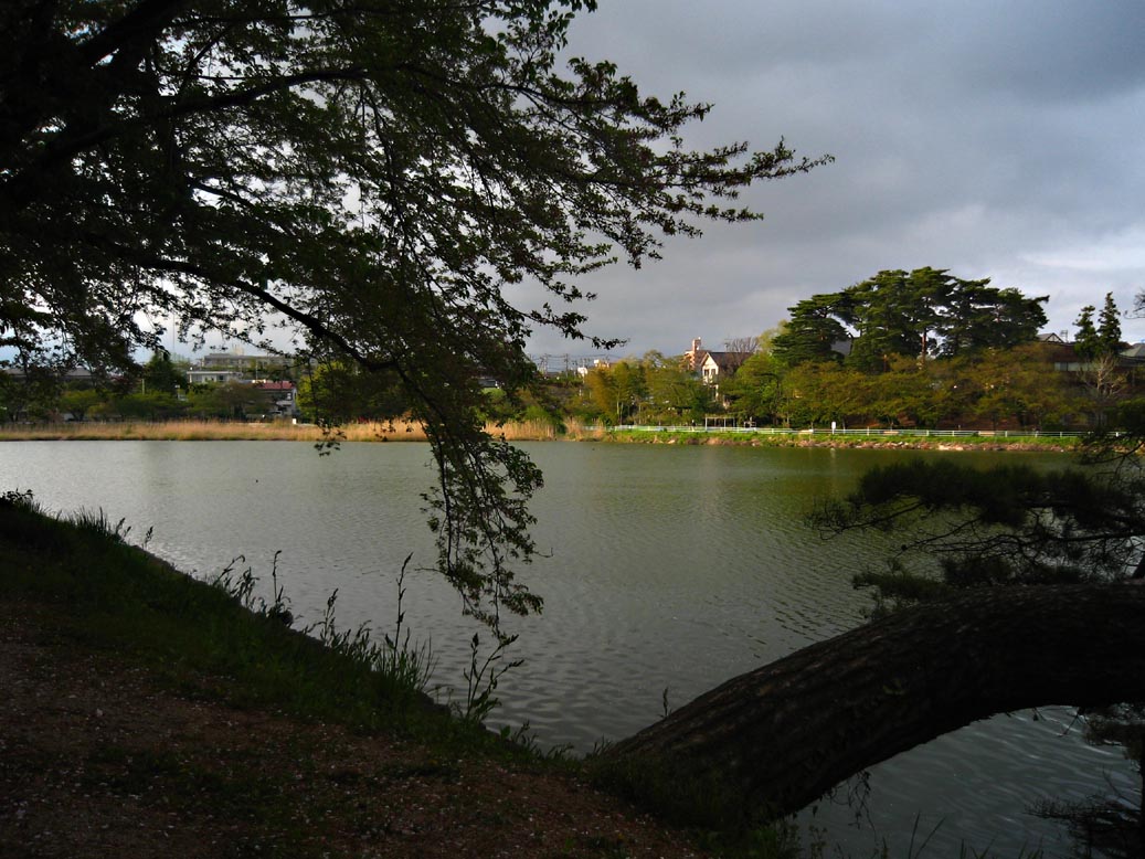 f0056038_23432293.jpg