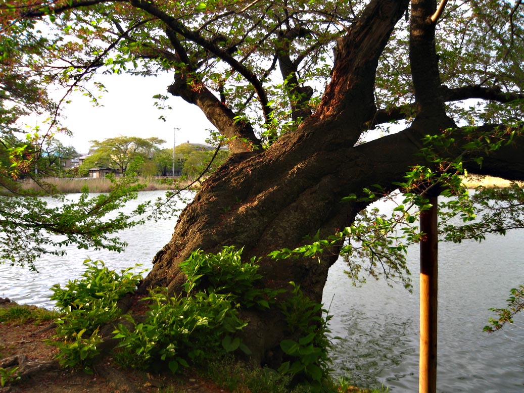 f0056038_23443723.jpg