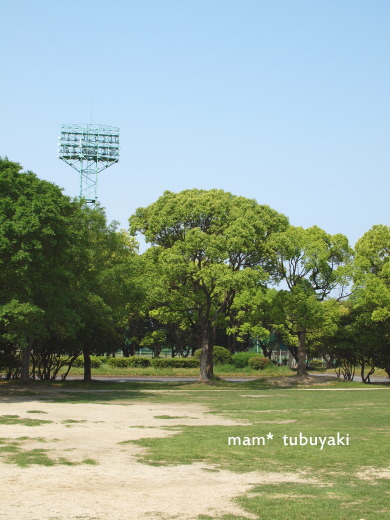 e0081339_16252325.jpg