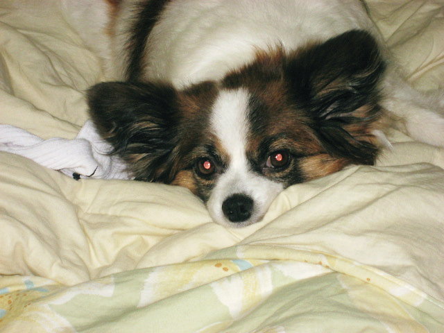 a0149240_11144292.jpg