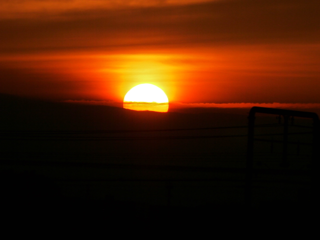 b0190242_22232819.jpg