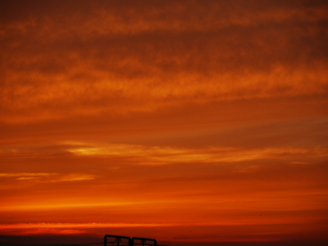 b0190242_22243892.jpg