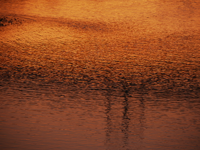 b0190242_2224589.jpg