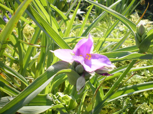 e0224842_1533779.jpg