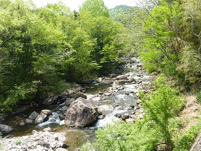 c0220047_1323438.jpg