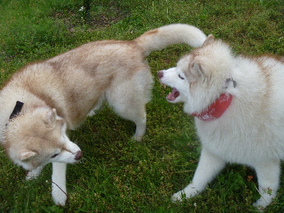 e0121548_20103436.jpg