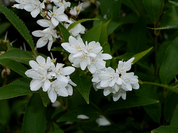 d0091754_0272179.jpg