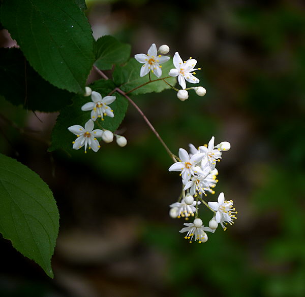 d0091754_0323856.jpg