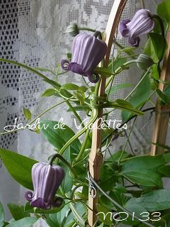 e0118257_1705031.jpg