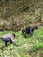 f0035962_149272.jpg