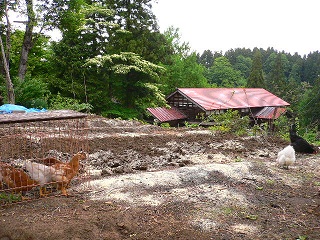 b0079965_4242982.jpg