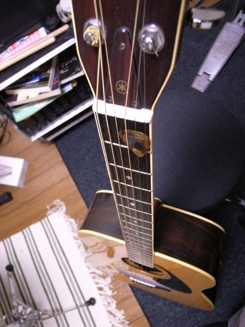 a0000273_1758429.jpg