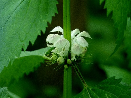 d0084473_22201487.jpg