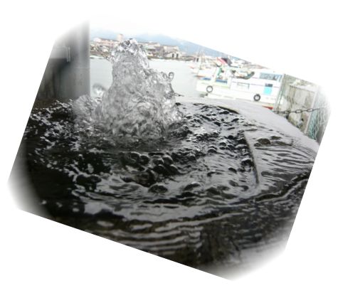 d0175974_8595080.jpg