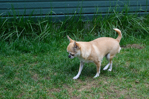a0016775_0115138.jpg
