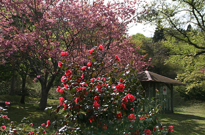 c0112479_23273481.jpg