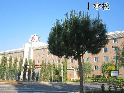f0055380_20594278.jpg