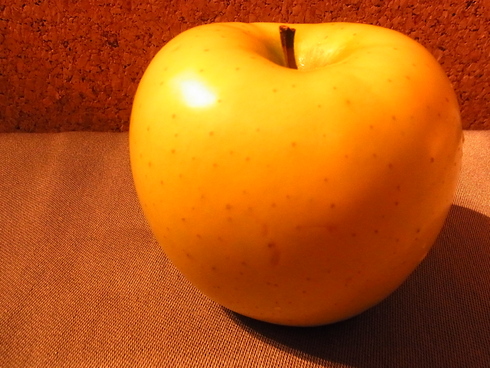 c0122788_3475777.jpg