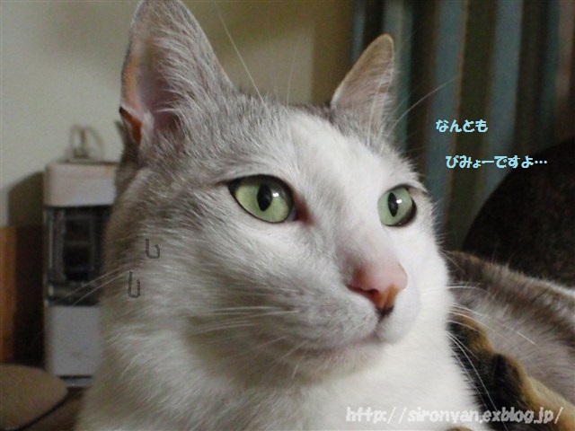 a0159490_122666.jpg