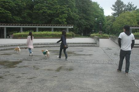 c0123890_16272.jpg