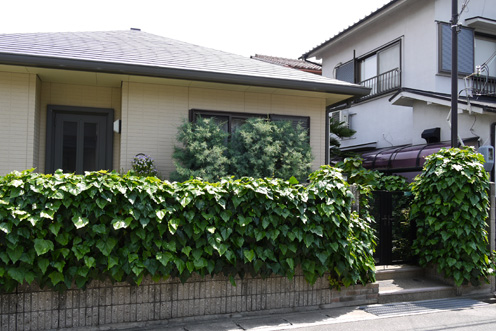 f0222692_12124584.jpg