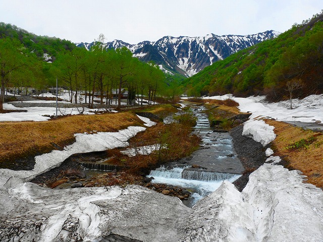 e0202393_23253735.jpg