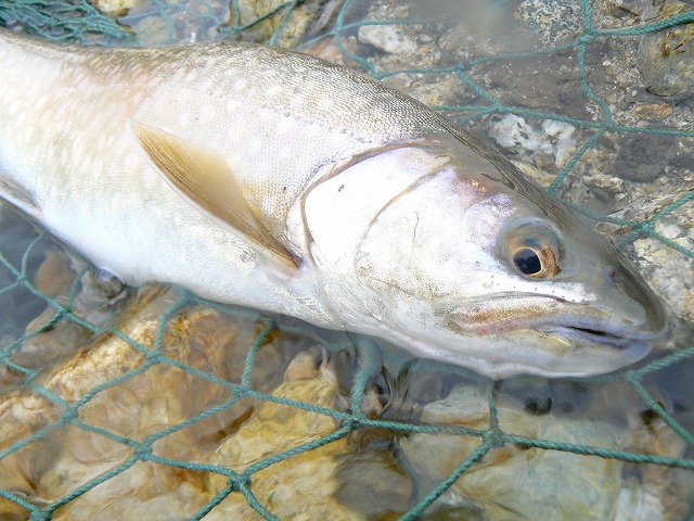 e0202393_2327124.jpg