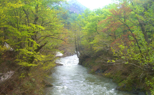 b0099994_12554364.jpg
