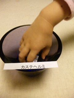 c0053096_20131540.jpg
