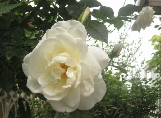 f0201297_19472593.jpg