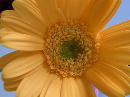 e0077599_14444191.jpg
