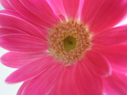 e0077599_14447100.jpg