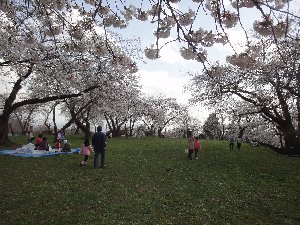 e0122199_1612872.jpg