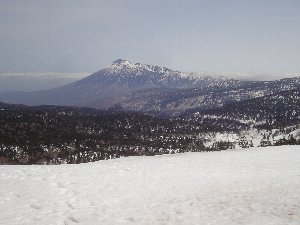 e0122199_16185672.jpg