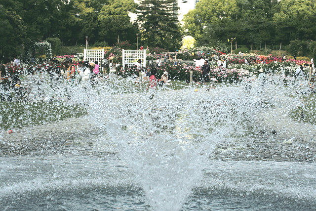 f0083400_21302536.jpg