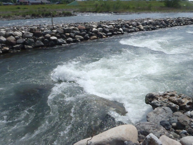a0121502_172925.jpg
