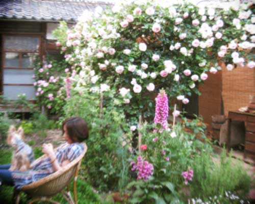 d0077603_16112759.jpg