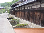 e0207503_19553581.jpg