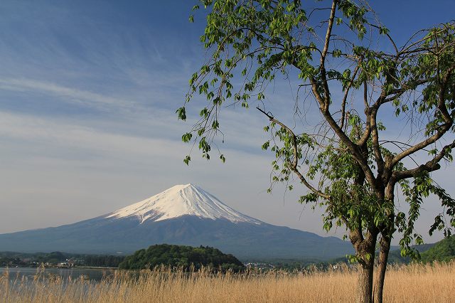 a0188405_7354034.jpg