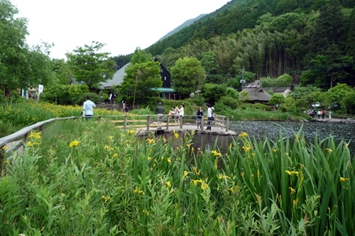 b0014607_2138369.jpg