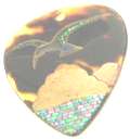 e0063208_056886.jpg